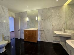 The Colonnade (D10), Condominium #453530541